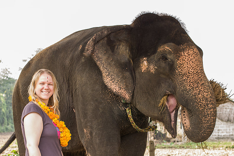 Nepal elefantendung papier freiwilligenarbeit