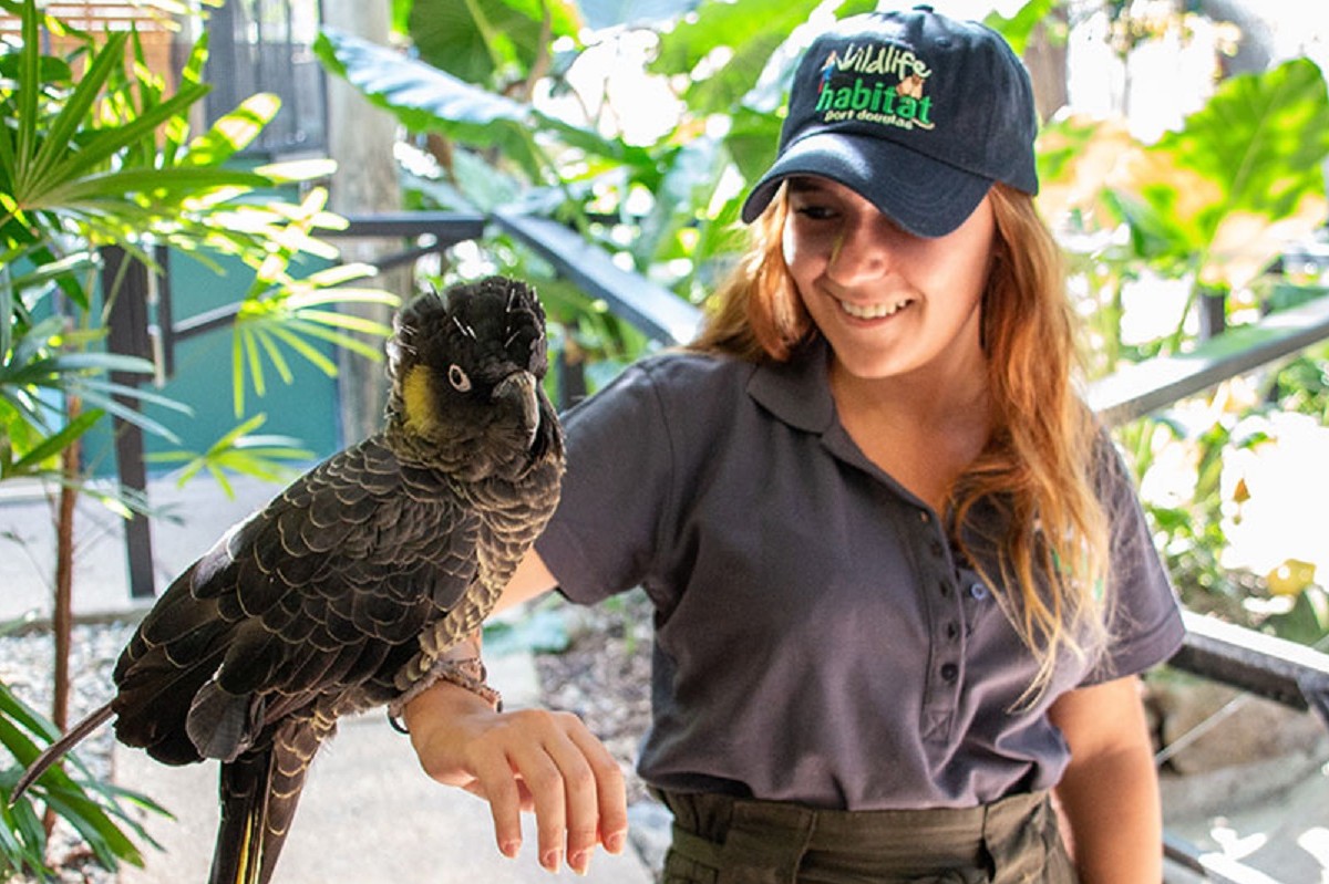 Australien wildlife habitat volunteer with bird 1