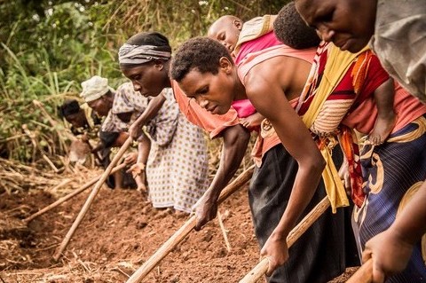 Uganda farm arbeit ueberblick