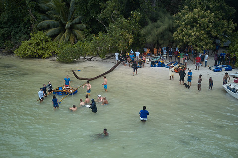 Freiwilligenarbeit seychellen meeresschutz ueberblick