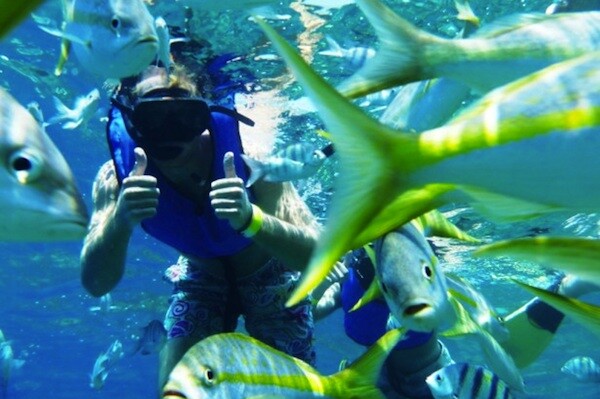 Dominikanische republik diving conservation 025