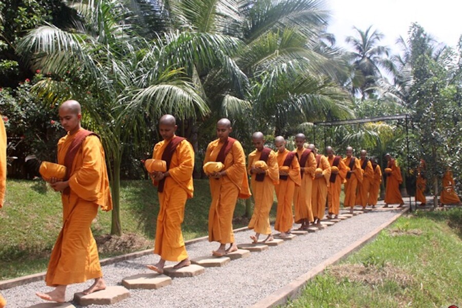 Freiwilligenarbeit im Kloster in Sri Lanka