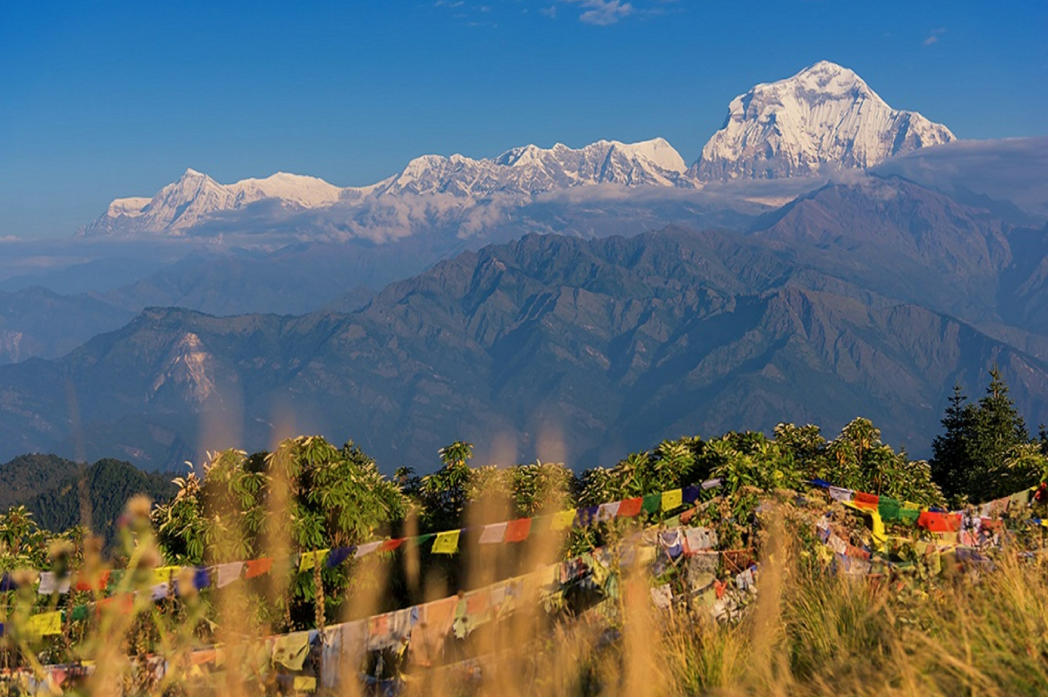 Nepal poonhill trekking 1