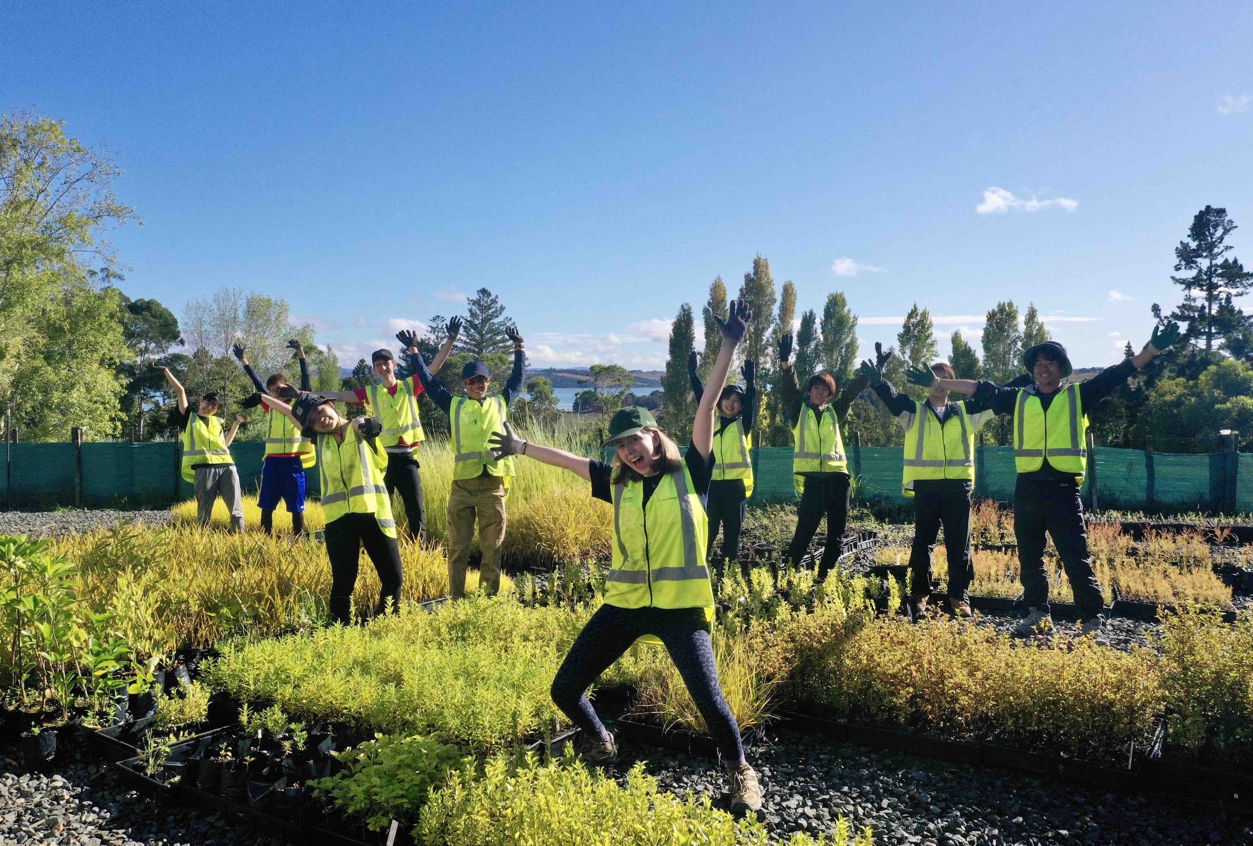 Volunteering new zealand teaser