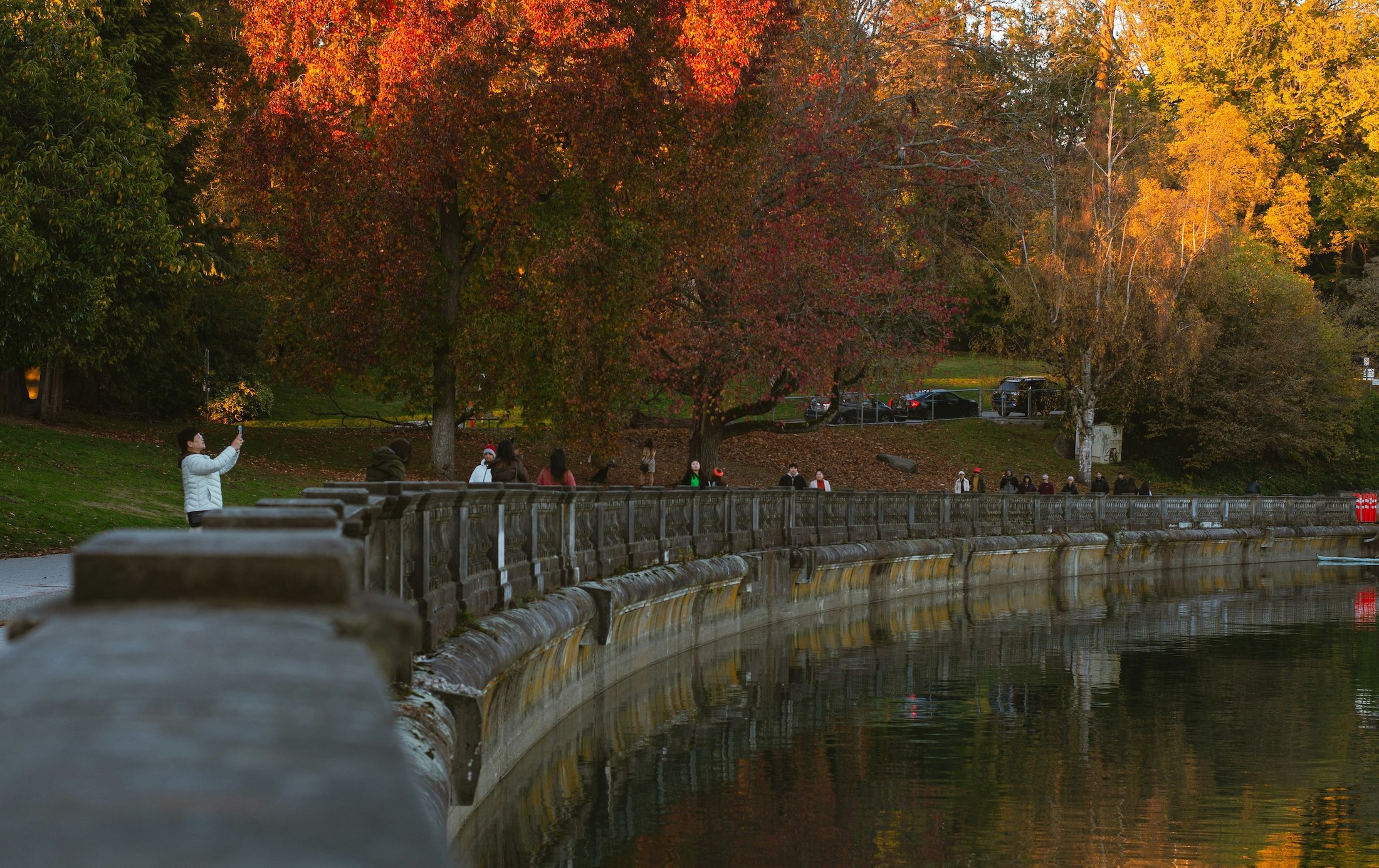 Stanley park volunteer projekt kanada