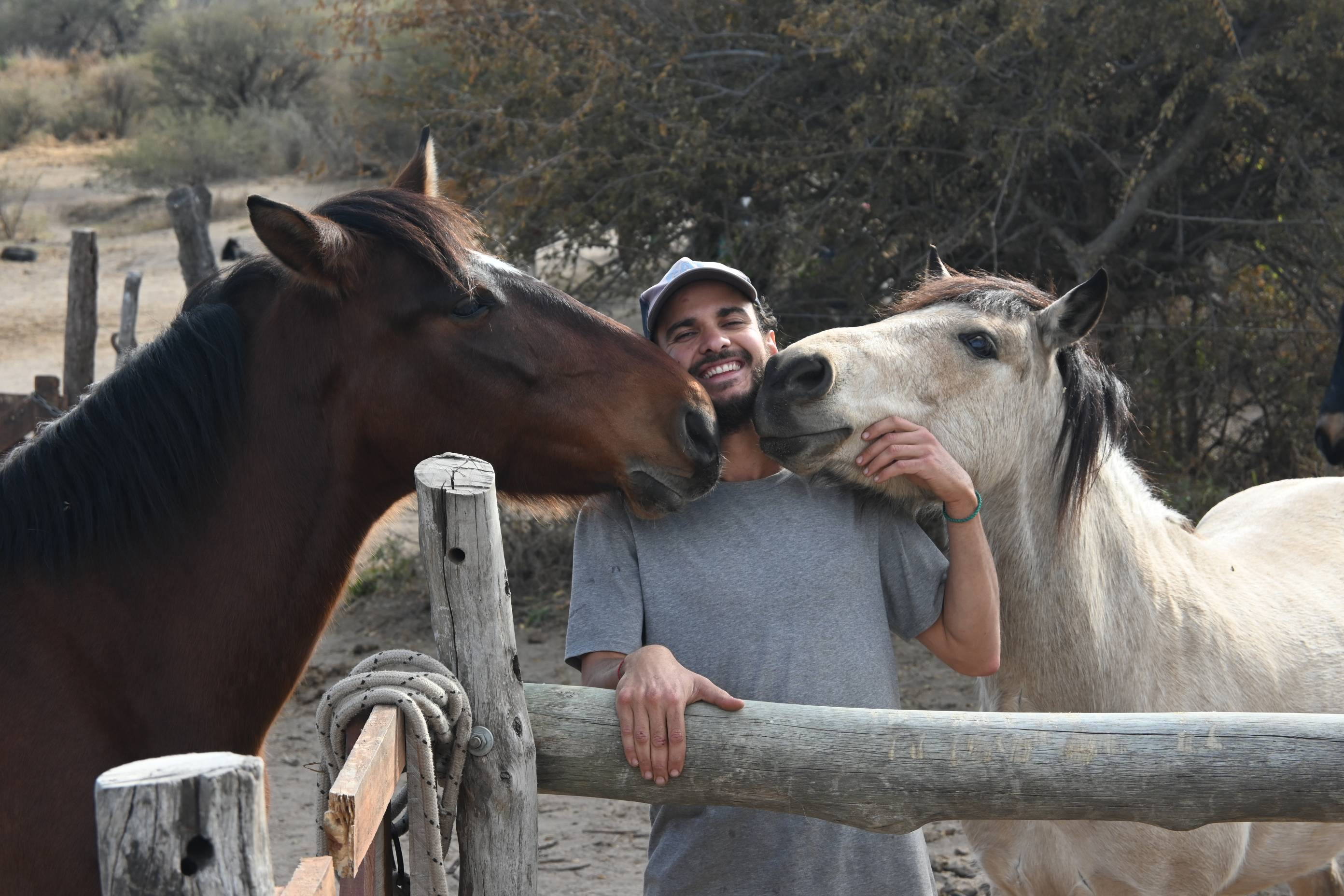 Caballos chica