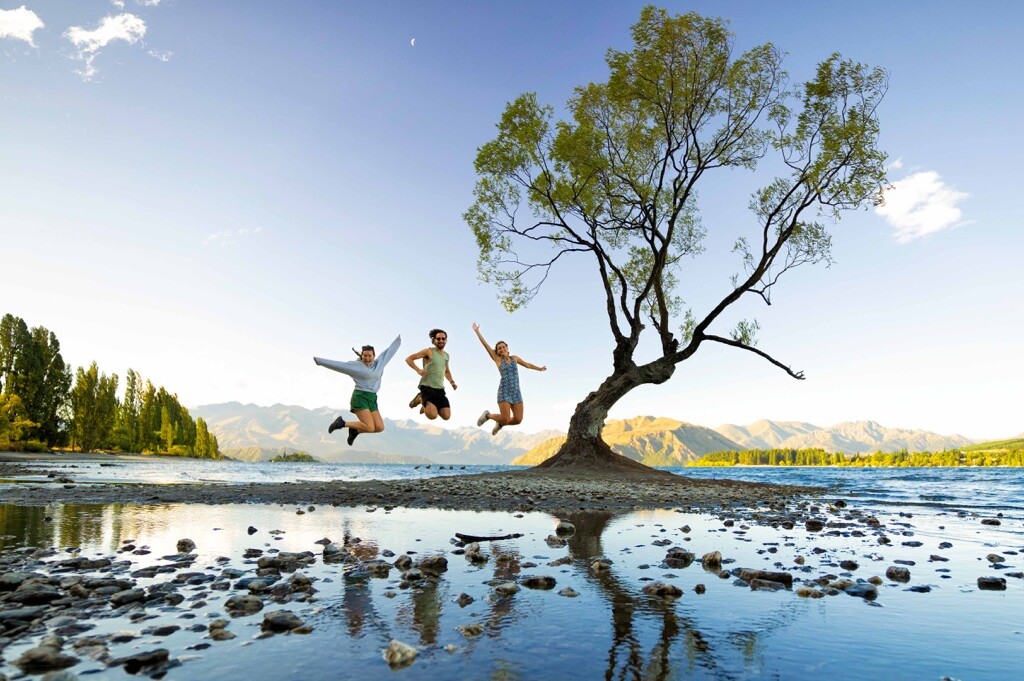 Wanaka tree